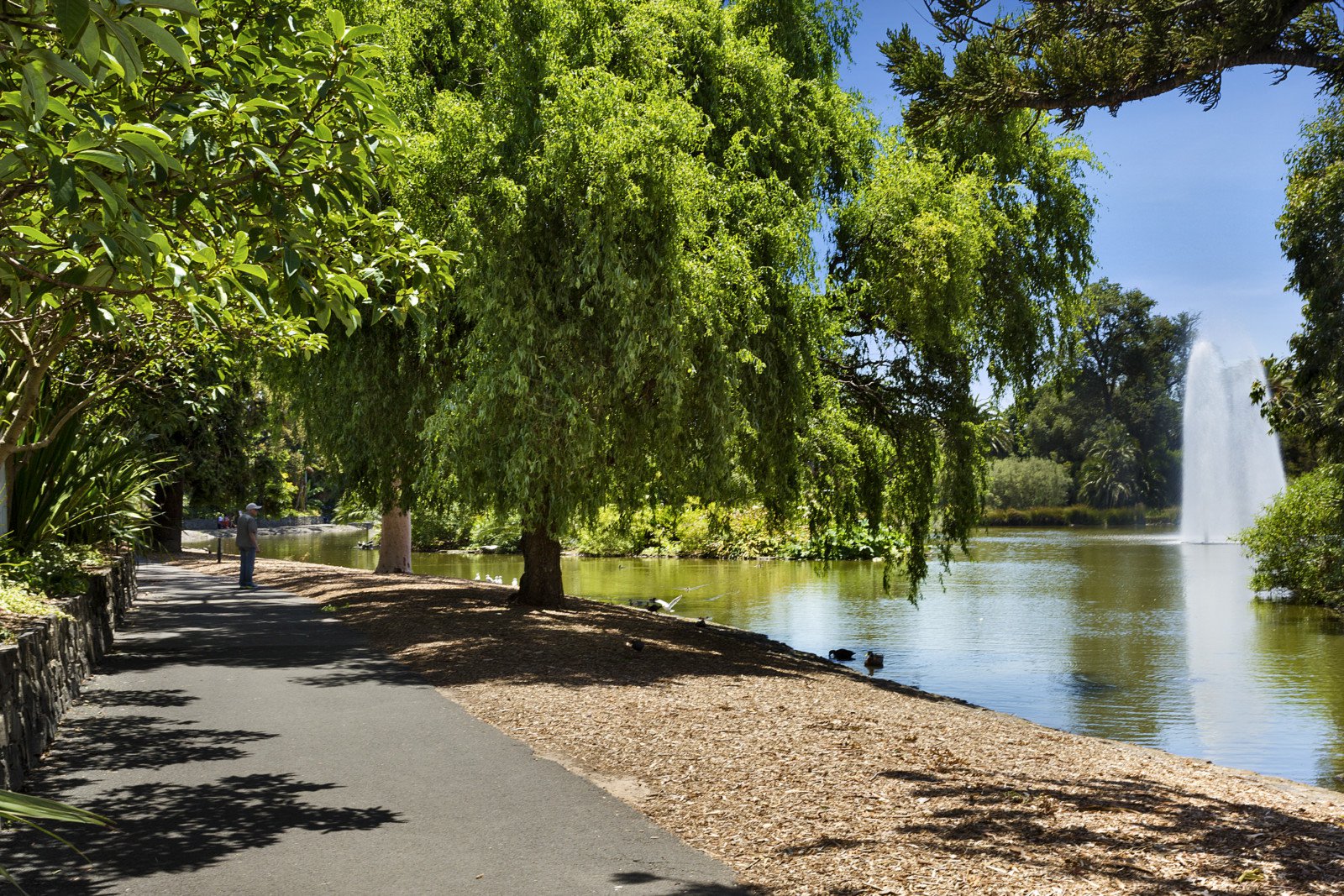 Moonee Ponds Nelson Alexander Real Estate