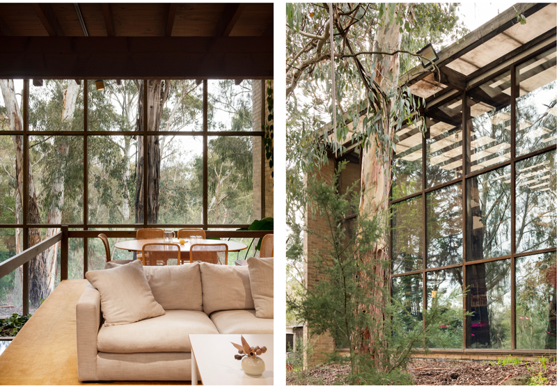 Untitled Design - 1 - Edited (1)