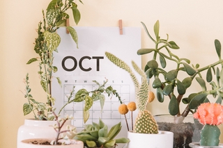 maddi-bazzocco-O-v6LWnU0OU-unsplash landcape.jpg