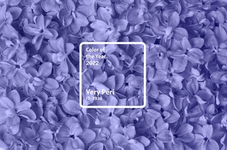 shutterstock_2090062258.eps